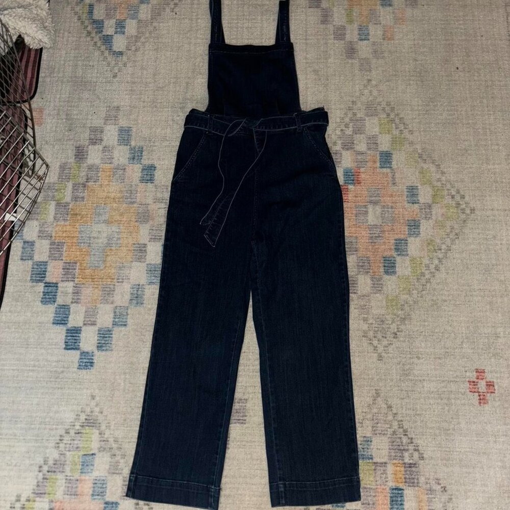 Universal Thread Overalls - image 1